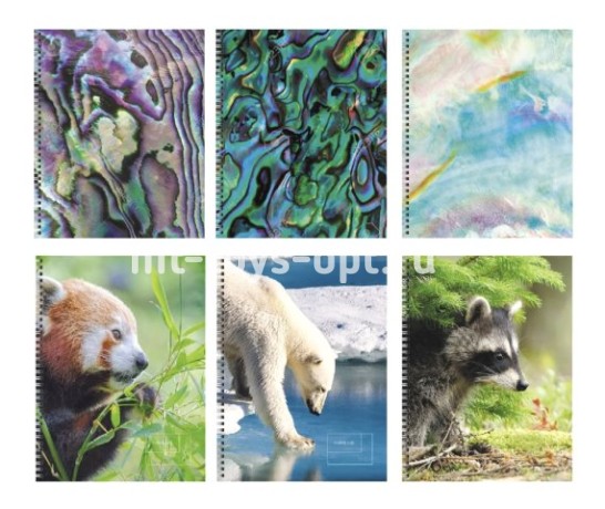 Тетрадь А5 96л кл. гребень в ассорти