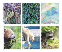 Тетрадь А5 96л кл. гребень в ассорти