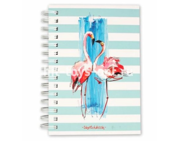 Скетчбук Ассорти, обложка твердая, А5, 14,8х21 см, на гребне, 100 л., STILSY