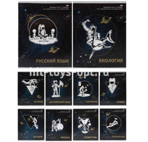 Комплект предметных тетрадей Проф-Пресс 10 шт.