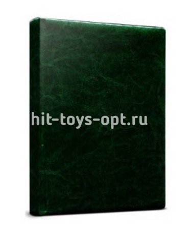 Ежедневник недатированный А5ф 160л Виладж Зелёный, перепл.кожзам