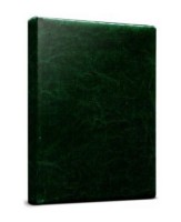 Ежедневник недатированный А5ф 160л Виладж Зелёный, перепл.кожзам