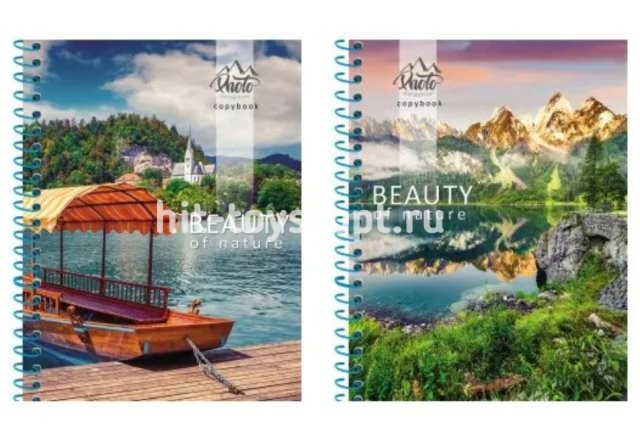 Тетрадь А5 48л клетка гребень Принт в ассорти 20 видов