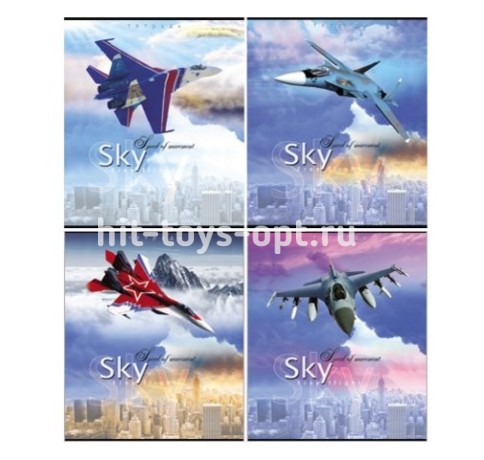 Тетрадь 12 л. клетка Самолет и небо