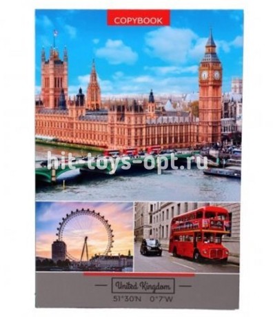 Тетрадь 120л., А4 клетка, кольца, ламинированный картон, ассорти