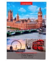 Тетрадь 120л., А4 клетка, кольца, ламинированный картон, ассорти