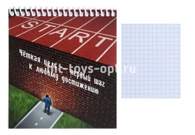 Блокнот А6 48л спираль блок клетка цв.мел.обл. Целеустремленность