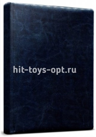 Ежедневник недатир.А5 160л.лин.CLZ ВИЛАДЖ син.софт.обл.