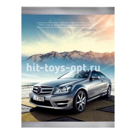 Тетрадь КЛЕТКА 120л. в ассортименте на кольцах