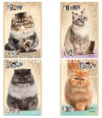 Блокнот А6 32л. ЗАБАВНЫЙ КОТИК (Б32-2742) на скрепке, цвет.мелов.обл, блок-офсет