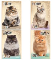 Блокнот А6 32л. ЗАБАВНЫЙ КОТИК (Б32-2742) на скрепке, цвет.мелов.обл, блок-офсет