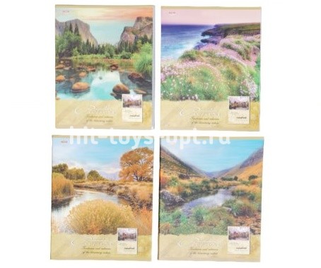 Тетрадь КЛЕТКА 48л. НА БЕРЕГУ (48-1217) (матовая ламинация, цвет.мелов.обл.)