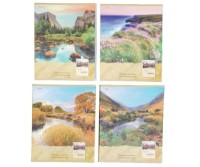 Тетрадь КЛЕТКА 48л. НА БЕРЕГУ (48-1217) (матовая ламинация, цвет.мелов.обл.)