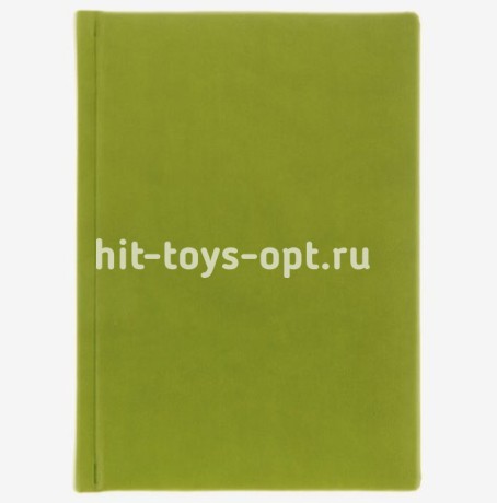 ЕЖЕДНЕВНИК А5. 160л. недатир. ГЛОСС оливковый (160-0669) перепл.кожзам