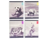 Тетрадь 24 листа История животных