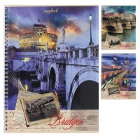 ТЕТРАДЬ ОБЩАЯ А4 80Л. КАМЕННЫЕ МОСТЫ (80Л-3091) ГРЕБЕНЬ, ВЫБОРОЧНЫЙ ЛАК