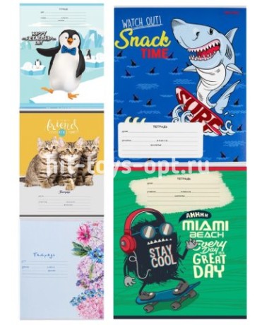Тетрадь 18л ЛИНИЯ в принт в ассортименте