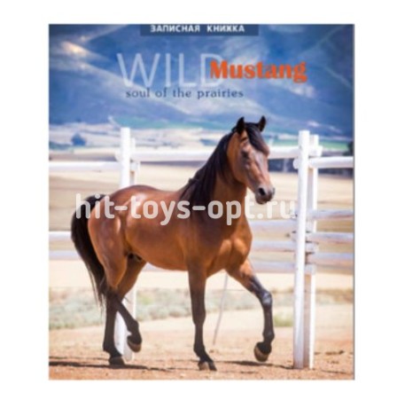 ЗАПИСНАЯ КНИЖКА А6, 80Л. ГНЕДОЙ КОНЬ (80-7110) НА СПИРАЛИ, ОБЛ. МЕЛОВ. КАРТОН