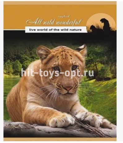 Тетрадь А5 80л кл скрепка Крупные хищники