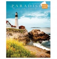 Тетрадь 80л., А5+, клетка, Проф-Пресс &quot;Маяк в бухте&quot; кольца, мелованный картон