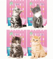 БЛОКНОТ А6 40л. на гребне МОЙ МАЛЕНЬКИЙ КОТЁНОК (Б40-5038) ассорти,цвет.мелов.обл,блок-офсет, клетка