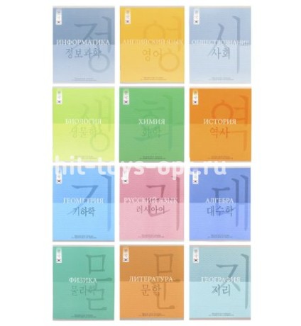 Комплект из 12 предметных тетрадей Prof-Press 48 листов, цена за упаковку