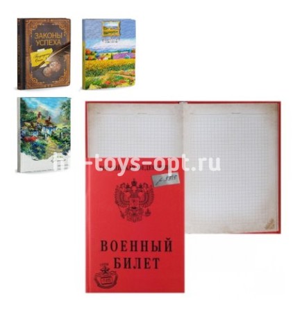 ЗАПИСНАЯ КНИЖКА А6 80л. в ассортименте