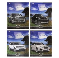 Тетрадь 12лист клет A5 автоколлекция 12-4911