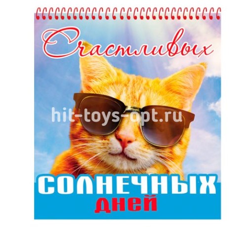 Блокнот А6 48 листов клетка "Счастливых солнечных дней" на цветной спирали