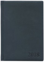 Ежедневник датир.А5 168л.лин. ГЛОСС т.-син.софт.обл.2018-20г.