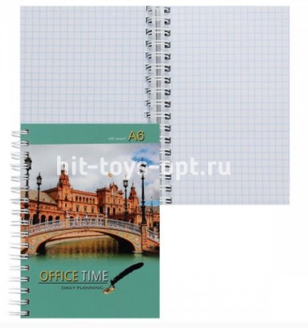 Книжка записная А6 (105*150) 100л клетка дв спир тв обл 7Бц Проф-Пресс Мостик глянц лам
