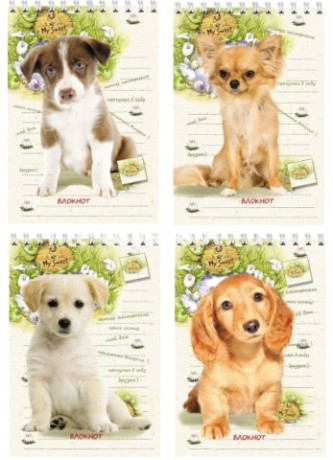 Блокнот А6 40л принт в ассорти