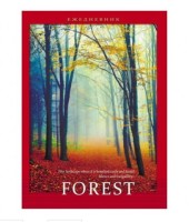 Ежедневник А5, 80л, недатир.&quot;Осенний лес&quot;, 7БЦ, выборочный лак, недатированный