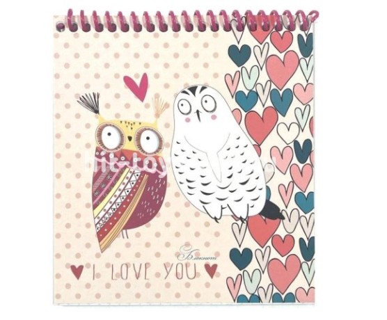 Блокнот Влюбленные Совы А6, 48 л.
