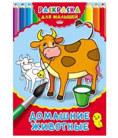 Раскраска А4 Р-2478 Домашние животные 4л