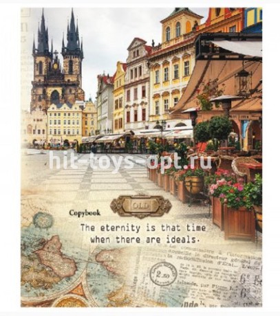 Тетрадь на кольцах А5 240л клетка "Европейская площадь"