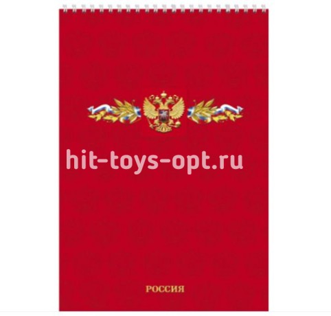 Блокнот А4 60л гребень Россия - великая страна PROF-PRESS Б60-2562