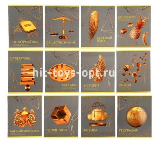 Комплект предметных тетрадей 48л,фольга12пр."Золото знаний"