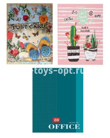 Тетрадь А5 80л.кл.на кольц.Твердая ОБЛ..со смен.бл. принт ассорти