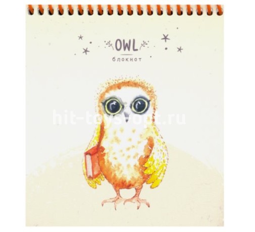 Блокнот на спирали "Умные совушки", 40 листов, А6