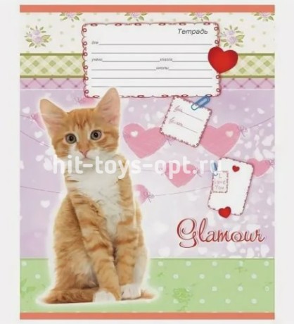 Тетрадь ЛИНИЯ 18л. МИКС-7 цвет.мелов.обл.