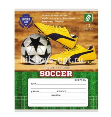 TM"Profit" Тетрадь КЛЕТКА 12л. МИКС-10 (12-9302)обл-картон хромэрзац, 10 диз