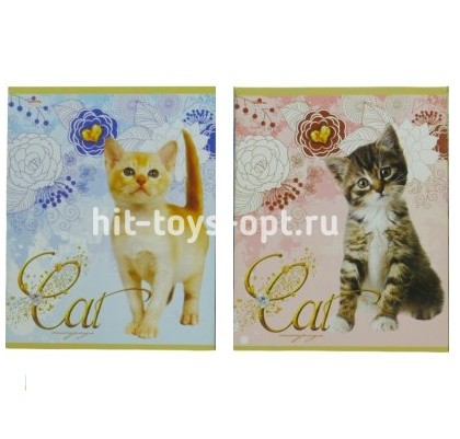 Тетрадь 40лист клет А5 Эконом Лапки и хвосты