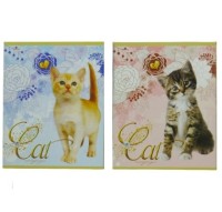 Тетрадь 40лист клет А5 Эконом Лапки и хвосты