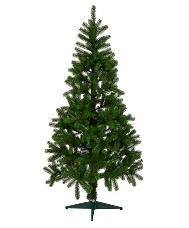 Сосны и Ели