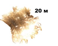 Гирлянда нить (20м/160л) крупный диод пр.провод с переходником УЛИЦА эф.мерцания в упак т/бел+ т/бел