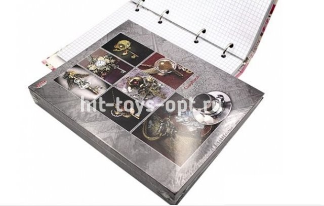 Тетрадь КЛЕТКА 160л. КЛЮЧИ (160-6598) (на кольцах, сменный блок, глянц.ламинация)