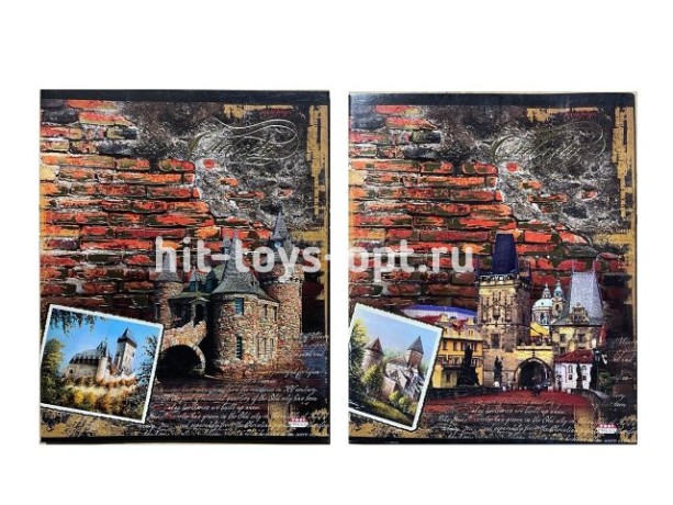 Тетрадь КЛЕТКА 48л. ЗОЛОТАЯ СТЕНА (483А1Т-483А4Т)(тисн.золотом, цвет.мелов.обл.)