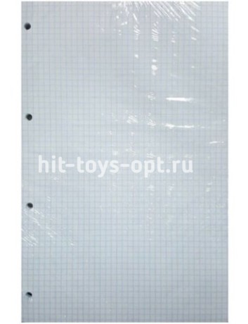 Сменный блок для тетрадей А4 48л клетка на кольцах, в инд. упак. БС48-2937