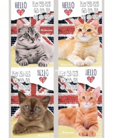 Блокнот 32л А7 "Котята и британский флаг"